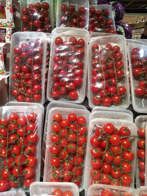 氧心園精品蔬菜 新鮮豌豆，一顆來自田野的美味